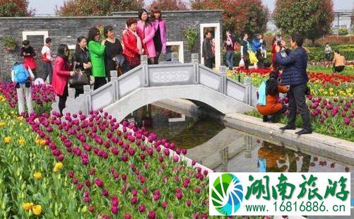 武汉东西湖郁金香公园怎么去 武汉东西湖郁金香公园交通攻略2022 武汉东西湖郁金香公园怎么去 武汉东西湖郁金香公园交通攻略2022