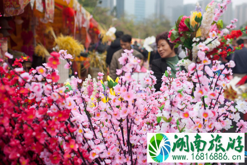 荷兰花卉小镇怎么去 荷兰花卉小镇地铁出口是什么 荷兰花卉小镇怎么去 荷兰花卉小镇地铁出口是什么