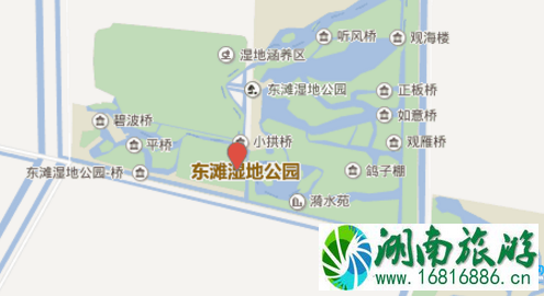 怎么去东滩湿地公园 东滩湿地公园交通攻略2022 怎么去东滩湿地公园 东滩湿地公园交通攻略2022
