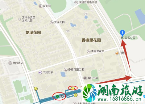 深圳香蜜公园怎么去 深圳香蜜公园交通攻略 深圳香蜜公园怎么去 深圳香蜜公园交通攻略