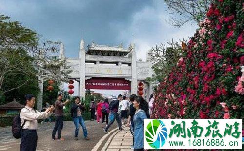 2022深圳梧桐山毛棉杜鹃花会交通攻略 2022深圳梧桐山毛棉杜鹃花会交通攻略