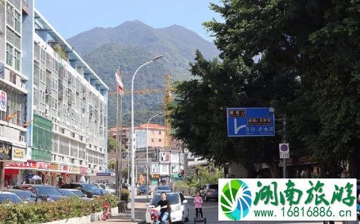 2022深圳梧桐山毛棉杜鹃花会交通攻略 2022深圳梧桐山毛棉杜鹃花会交通攻略