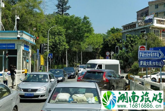 2022深圳梧桐山毛棉杜鹃花会交通攻略 2022深圳梧桐山毛棉杜鹃花会交通攻略