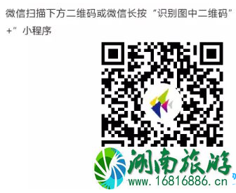2022深圳所有公交都可以刷二维码吗 2022深圳所有公交都可以刷二维码吗