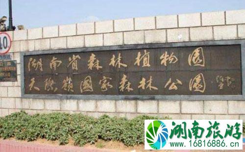2022湖南省森林植物园怎么去 2022湖南省森林植物园交通攻略 2022湖南省森林植物园怎么去 2022湖南省森林植物园交通攻略