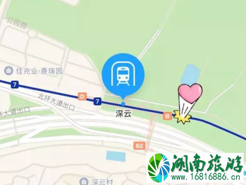 2022年3月深圳深云地铁站出口桃花开了吗 2022年3月深圳深云地铁站出口桃花开了吗