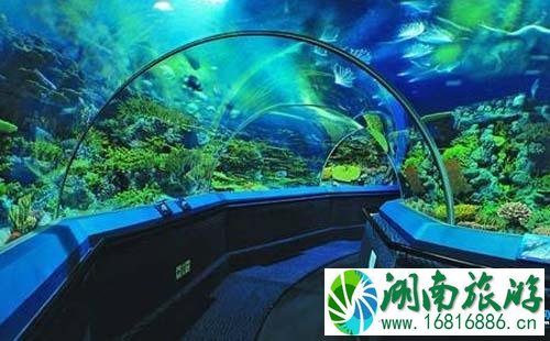 去上海长风海洋世界怎么走 上海长风海洋世界交通攻略 去上海长风海洋世界怎么走 上海长风海洋世界交通攻略