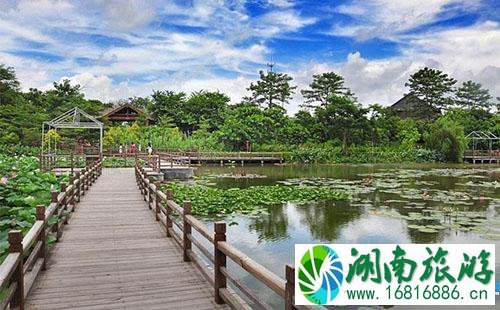 广州南沙湿地公园怎么去 2022广州南沙湿地公园交通攻略 广州南沙湿地公园怎么去 2022广州南沙湿地公园交通攻略