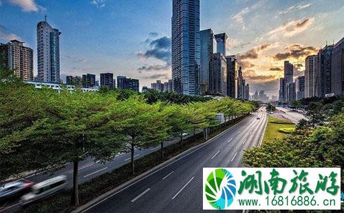 2022年4月深圳龙华美宝路封路了吗 封多久 2022年4月深圳龙华美宝路封路了吗 封多久