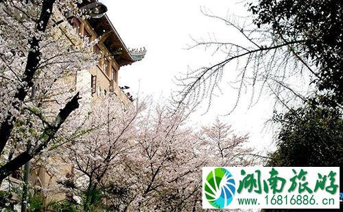 2022武汉大学校内公交怎么坐 武大校车路线/时刻表 2022武汉大学校内公交怎么坐 武大校车路线/时刻表