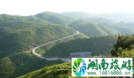 大围山杜鹃花节怎么去+观赏路线 大围山杜鹃花节怎么去+观赏路线