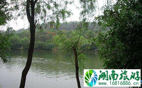 深圳水山公园附近有地铁站吗 水山公园怎么去 深圳水山公园附近有地铁站吗 水山公园怎么去