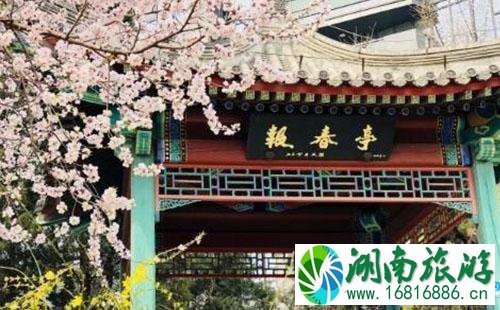 2022陶然亭公园海棠春花节游览路线攻略 2022陶然亭公园海棠春花节游览路线攻略