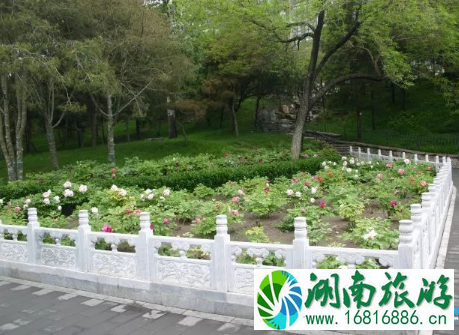 2022陶然亭公园海棠春花节游览路线攻略 2022陶然亭公园海棠春花节游览路线攻略