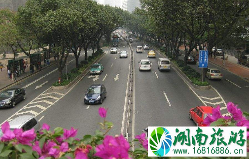 广州违反限行怎么处罚2022 广州违反限行怎么处罚2022