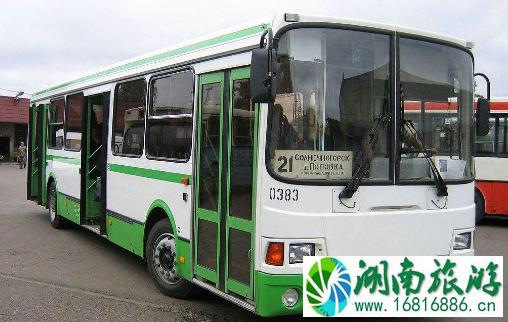2022年5月深圳公交新增高峰专线在哪里+路线 2022年5月深圳公交新增高峰专线在哪里+路线