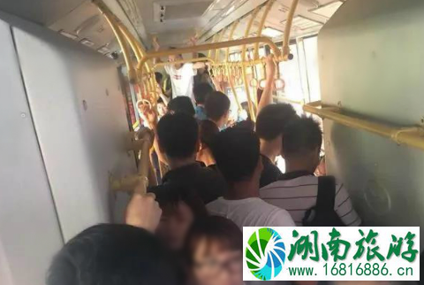 2022年5月深圳公交新增高峰专线在哪里+路线 2022年5月深圳公交新增高峰专线在哪里+路线