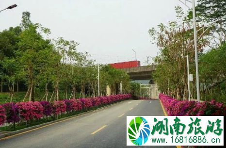 深圳罗田森林公园周边有地铁吗2022 深圳罗田森林公园周边有地铁吗2022