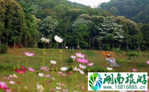 深圳罗田森林公园周边有地铁吗2022 深圳罗田森林公园周边有地铁吗2022