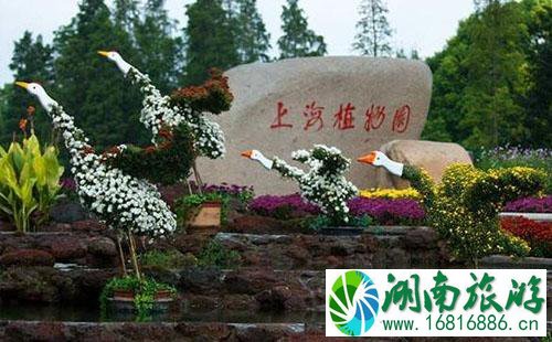 上海植物园停车收费多少钱 上海植物园停车方便吗 上海植物园停车收费多少钱 上海植物园停车方便吗