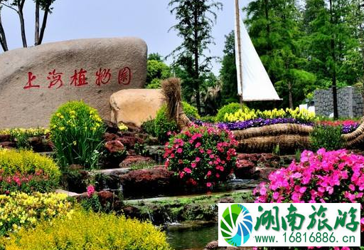 上海植物园停车收费多少钱 上海植物园停车方便吗 上海植物园停车收费多少钱 上海植物园停车方便吗