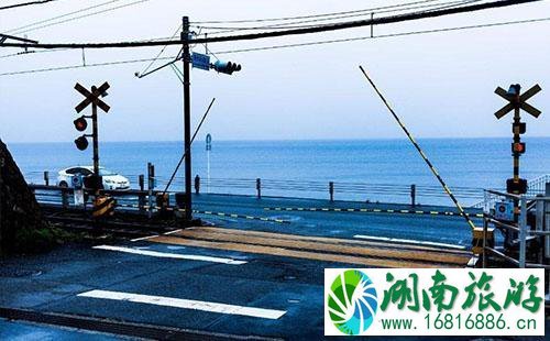 从名古屋到镰仓多久能到 名古屋到镰仓怎么去 从名古屋到镰仓多久能到 名古屋到镰仓怎么去