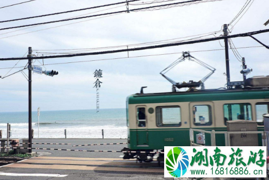 从名古屋到镰仓多久能到 名古屋到镰仓怎么去 从名古屋到镰仓多久能到 名古屋到镰仓怎么去