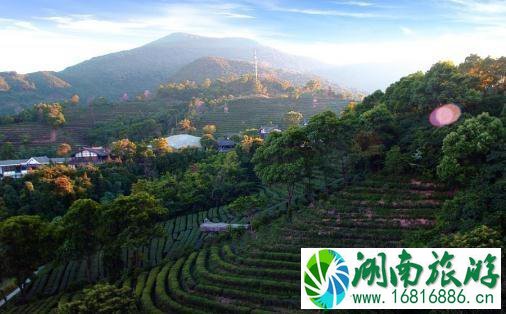 2022年8月深圳东部哪些区域限行交通管制+时间+处罚 2022年8月深圳东部哪些区域限行交通管制+时间+处罚