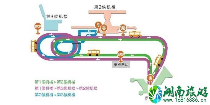成田机场交通攻略 东京成田机场怎么去市区 成田机场交通攻略 东京成田机场怎么去市区
