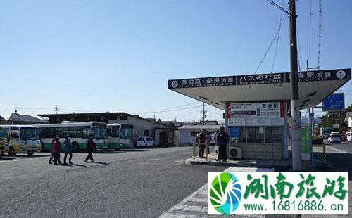 从法隆寺到唐招提寺怎么走+交通攻略 从法隆寺到唐招提寺怎么走+交通攻略