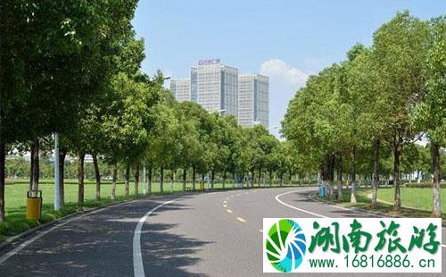 武汉限行违规罚款多少钱2022 武汉限行怎么处罚 武汉限行违规罚款多少钱2022 武汉限行怎么处罚