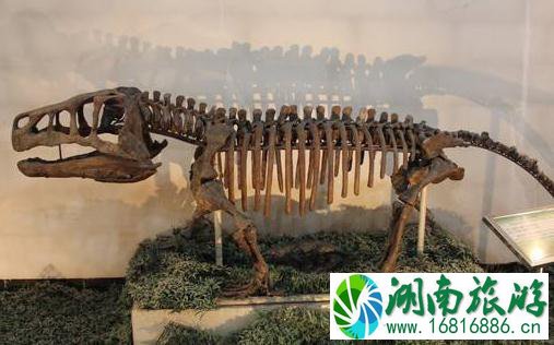 北京古动物博物馆怎么去+交通攻略 北京古动物博物馆怎么去+交通攻略