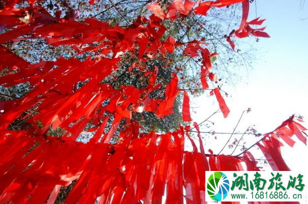 春节适合去哪里旅游 春节带着父母去哪里旅行好 春节适合去哪里旅游 春节带着父母去哪里旅行好