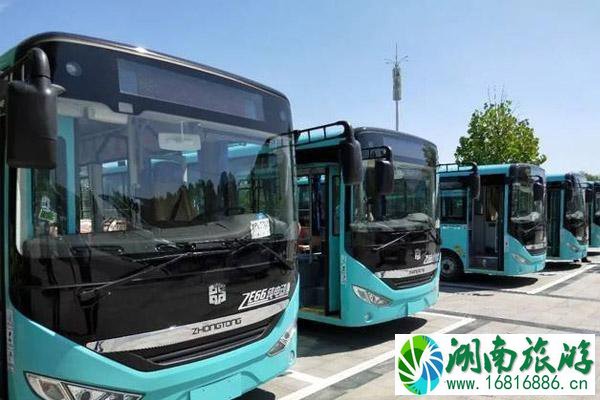 2020曲阜公交什么时候开通