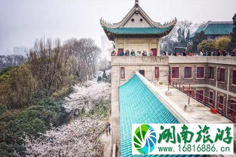 武汉大学看樱花怎么预约 2022武大看樱花门票要预约吗 武汉大学看樱花怎么预约 2022武大看樱花门票要预约吗