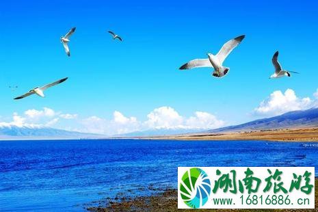 如何去青海湖 青海湖门票多少钱2022 如何去青海湖 青海湖门票多少钱2022