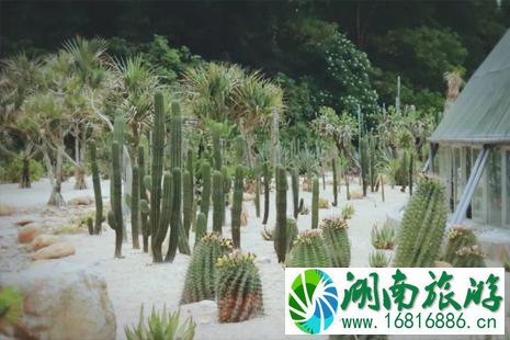 2022深圳仙湖植物园最新限行时间+罚款标准 2022深圳仙湖植物园最新限行时间+罚款标准