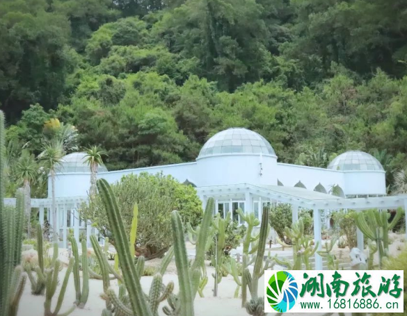 2022深圳仙湖植物园最新限行时间+罚款标准 2022深圳仙湖植物园最新限行时间+罚款标准