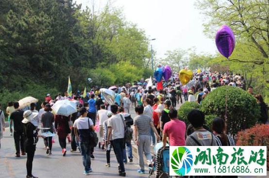 2022大连国际徒步大会交通管制+公交地铁调整 2022大连国际徒步大会交通管制+公交地铁调整
