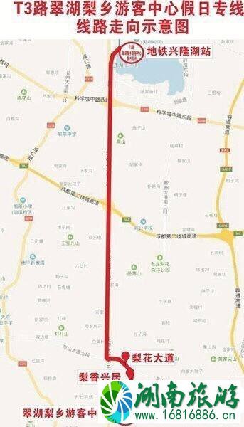 成都空港花田假日专线信息 成都空港花田假日专线信息