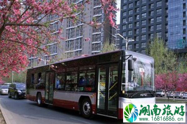 2020河北沧州疫情交通管制信息和公交运营时间调整信息