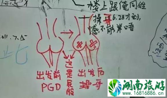 驴行西藏大曝光 到哪都会有不文明行为 驴行西藏大曝光 到哪都会有不文明行为