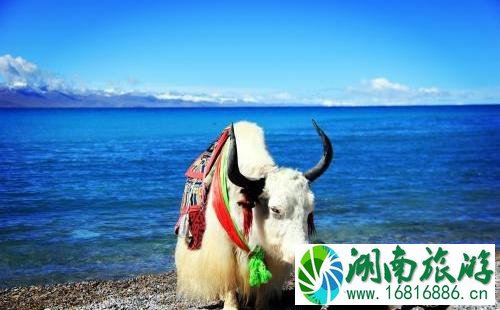 纳木错要注意什么 纳木错旅游注意事项2022