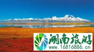 西藏阿里自助游旅游攻略 西藏阿里自助游旅游攻略