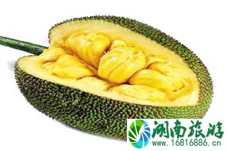 海南6月水果有哪些上市