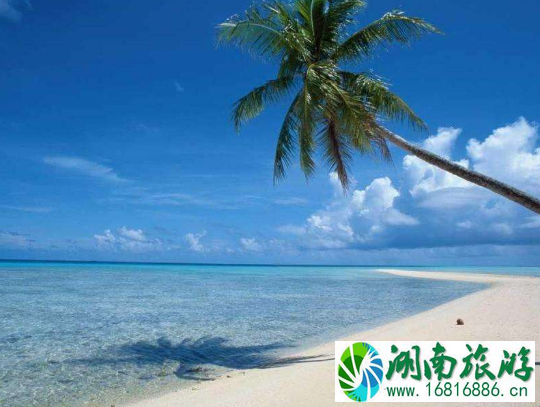 三亚海鲜水果能托运么 三亚海鲜水果去哪买 三亚海鲜水果能托运么 三亚海鲜水果去哪买