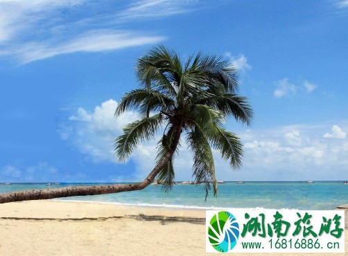 三亚冬天能下海游泳吗 三亚冬天能下海游泳吗