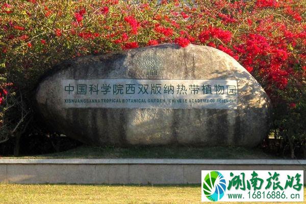 西双版纳自驾游路线推荐 西双版纳自驾游经典路线 西双版纳自驾游路线推荐 西双版纳自驾游经典路线