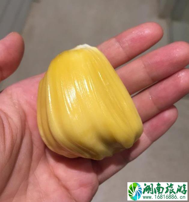 西双版纳旅游攻略(景点+交通+美食+注意事项) 西双版纳旅游攻略(景点+交通+美食+注意事项)