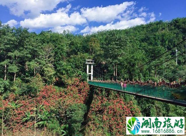 西双版纳旅游攻略(景点+交通+美食+注意事项) 西双版纳旅游攻略(景点+交通+美食+注意事项)